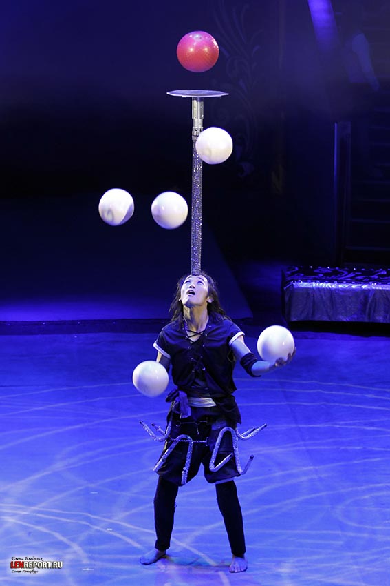Production Cirque à Volonté - Image 1