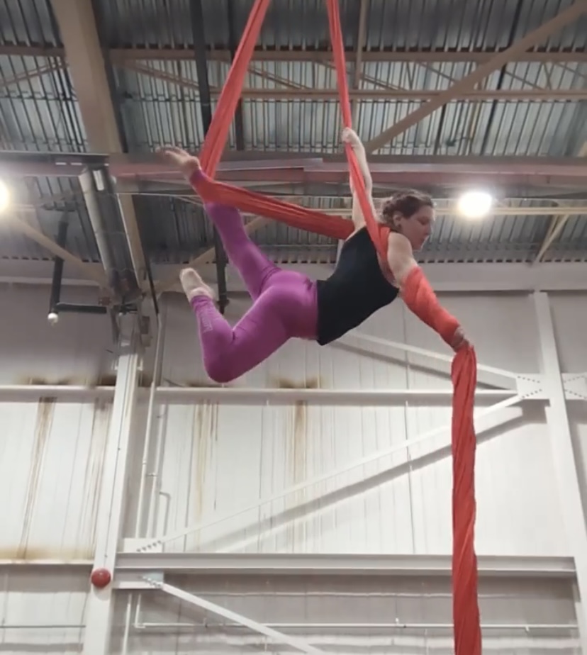 Aerial Antics - Image 3