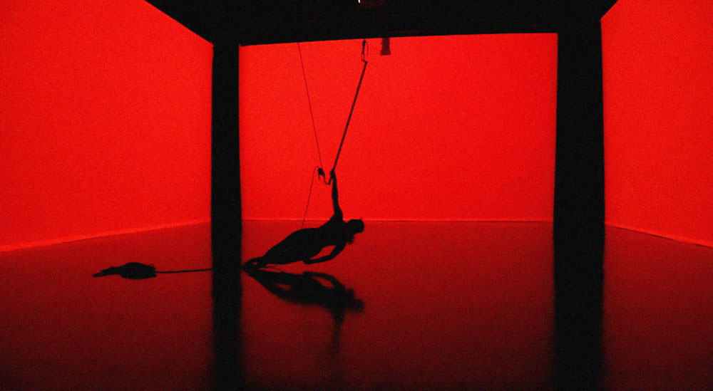 Paloma Leyton - Image 3