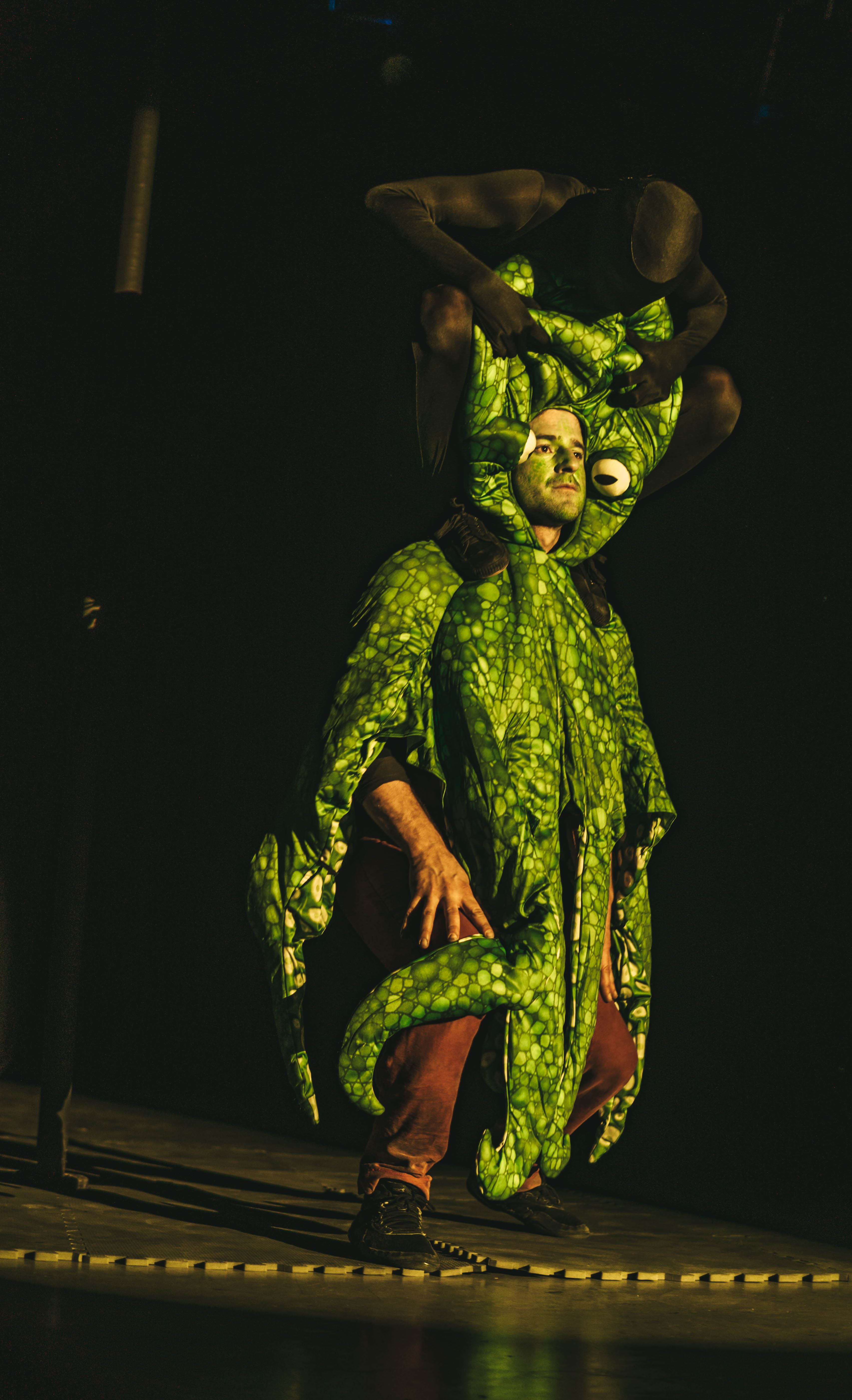 David Ayotte - Image 2